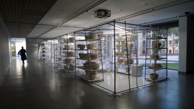 2015_Mycomorphlab_02