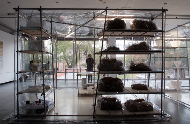 2015_Mycomorphlab_20